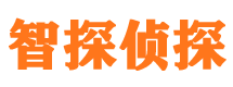 安阳外遇调查取证